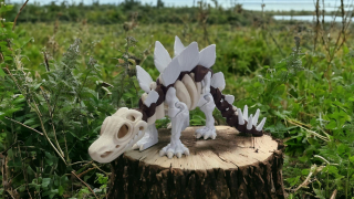 Stegosaurus
