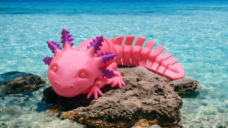 Axolotl fialovo-ružový