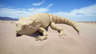 Agama